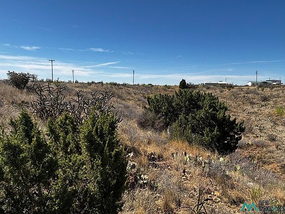 4th image of State Route 203