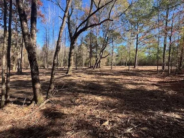 0 Bass Bridge Rd, Andalusia, AL 36420