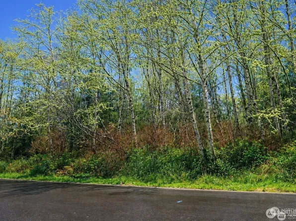 821 Duck Lake Drive NE, Ocean Shores, WA 89569