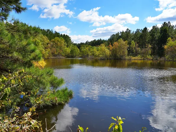 0 Mallalieu Dr SE, Ruth, MS 39662