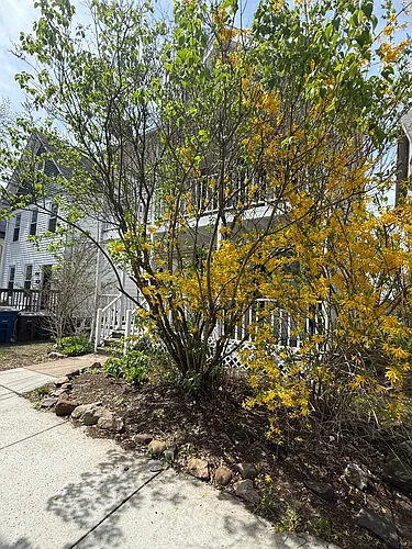 142 Greenwich Ave #1 Photo 1