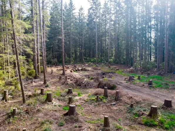 800 Gale Way, Crescent City, CA 95531