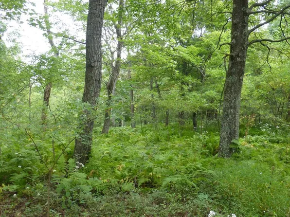 18 Top Of The Mountain Rd, Moorefield, WV 26836