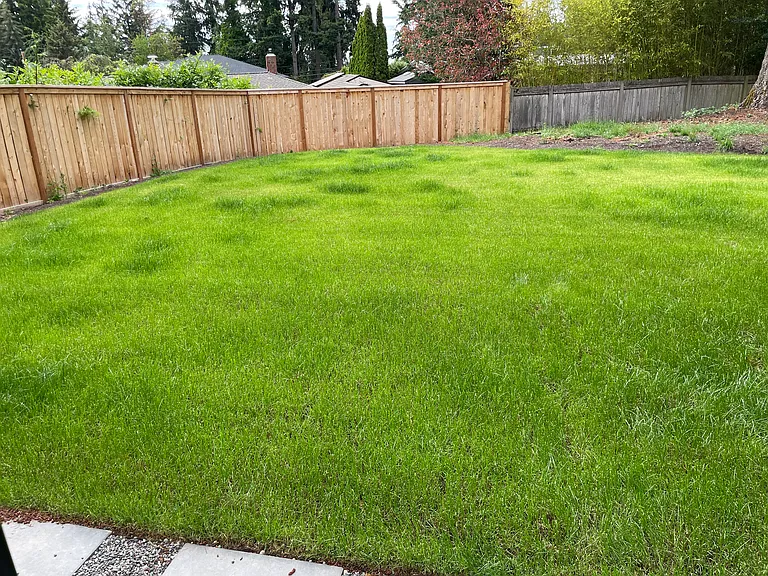 3809 142nd Ave SE — Photo 3