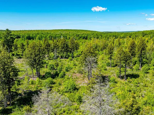 1 Pelkie Rd, Pelkie, MI 49958