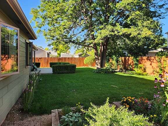 Lovely back yard