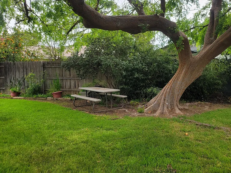 1734 W Shaw Ave — Photo 17