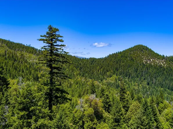 0 Forest Rte #4N20, Hyampom, CA 96046