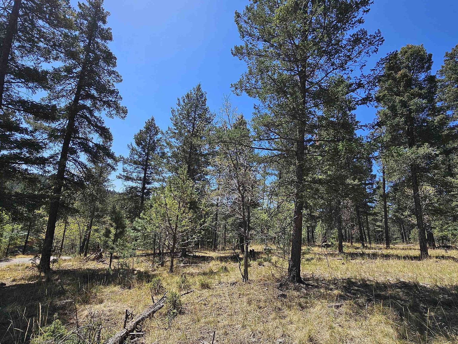 0 Red Maple, Mayhill, NM 88339 MLS 169303 Zillow