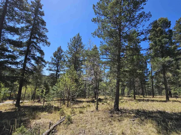 0 Red Maple, Mayhill, NM 88339