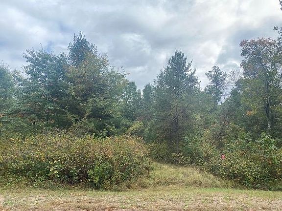 4th image of 520 Regal Forest Trl
