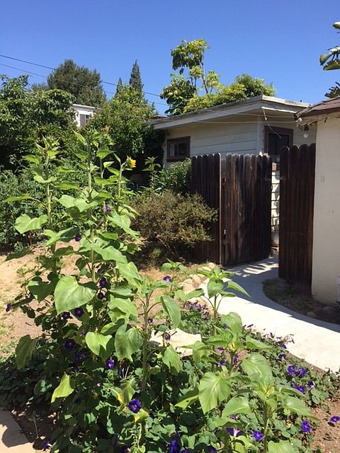 1st image of 310 Oceano Ave #B