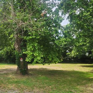 508 Reid Ave, Murfreesboro, TN, 37130