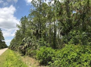 Deer Path Dr, Osteen, FL 32764