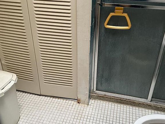 3rd image of 2727 Rhawn St