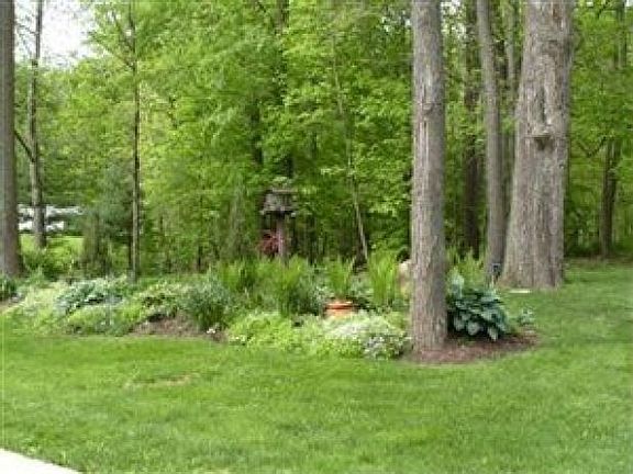 3rd image of 3465 Anthony Ln