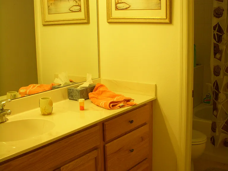 9741 Las Casas Dr — Photo 25