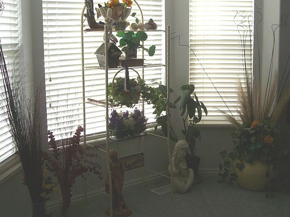 Front Room Window