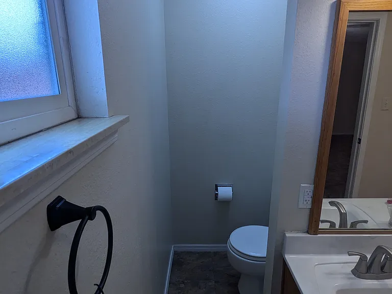 Primary Bath (toilet enclave side)