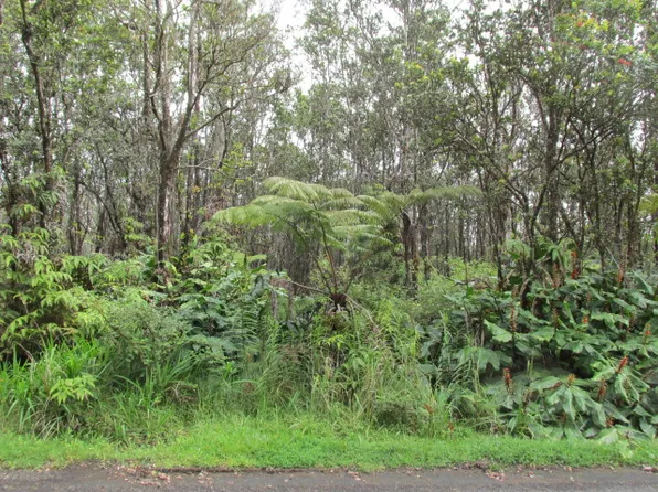 11-3088 Puolani St Lot 334, Volcano, HI 96785