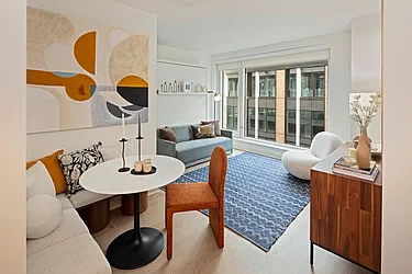 55 Suffolk Street #518 image 1 of 43