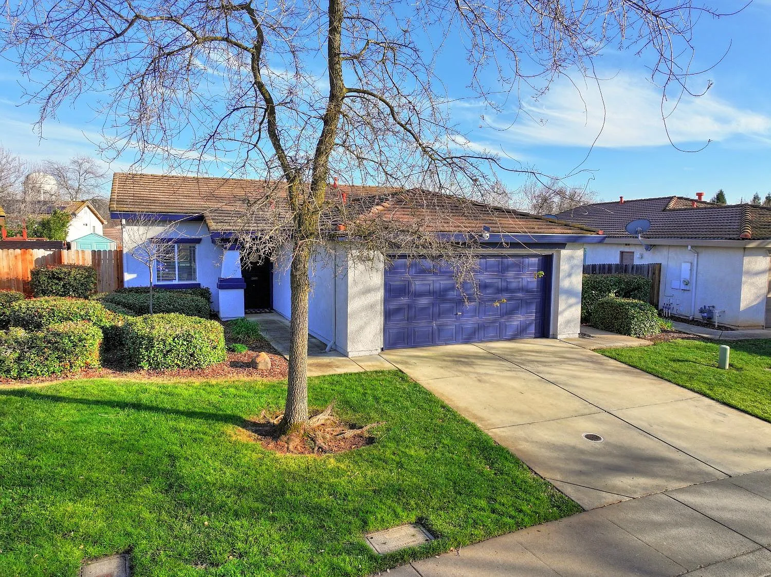 10817 Ivoryton Way photo 1