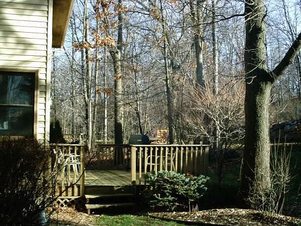 367 Rosario Ln photo 1
