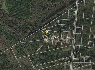 163 River Birch Ln, Midway, GA 31320