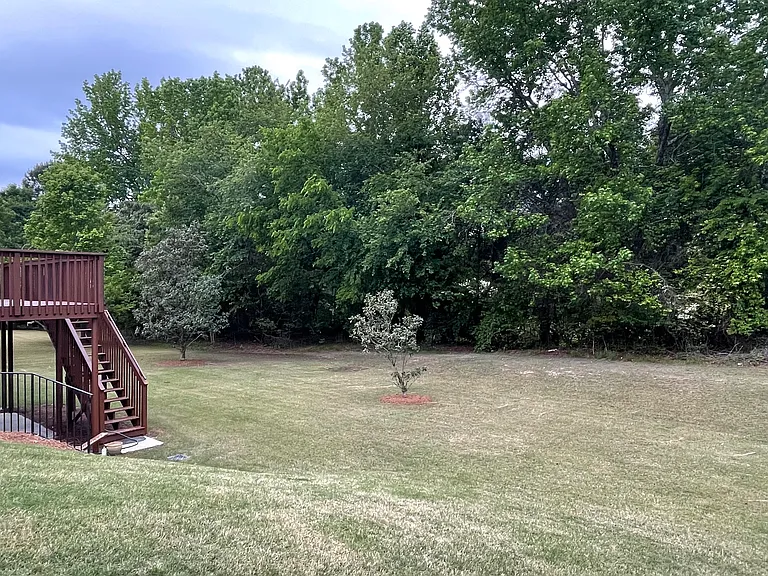 Flat backyard