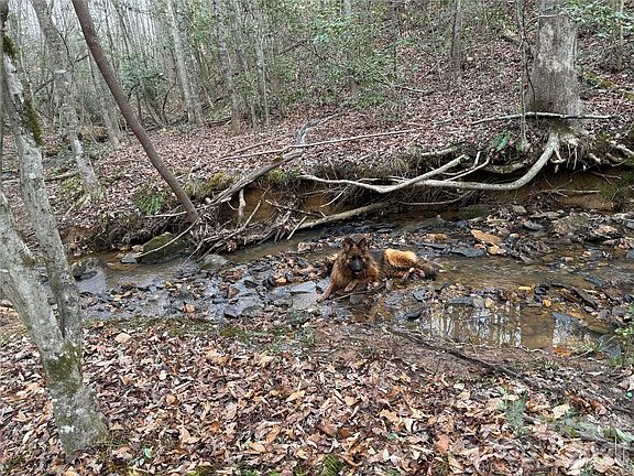 4th image of 0 Eagle Mills Rd