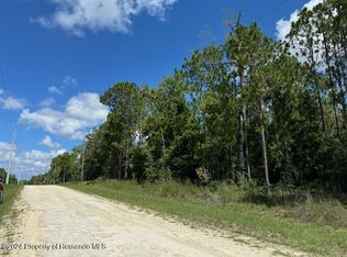 LOT 15 Red Marlin Ave, Brooksville, FL 34614