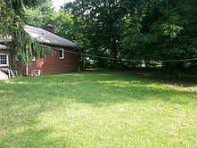 Back yard