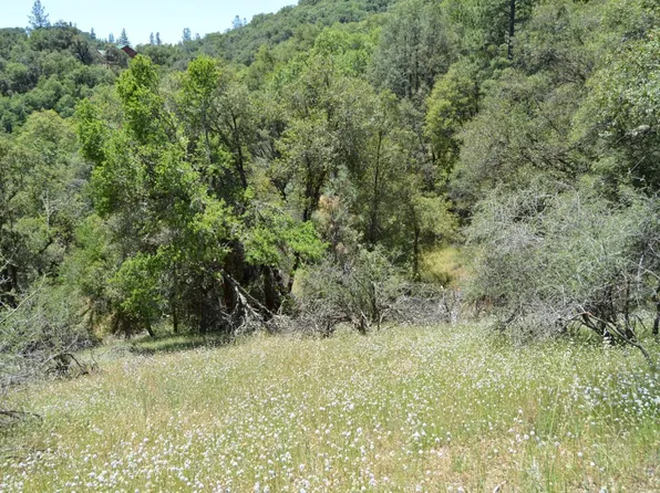 12316 Kenneth Ct, Grass Valley, CA 95949