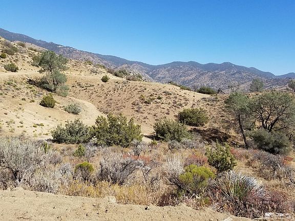 5th image of Big Spgs