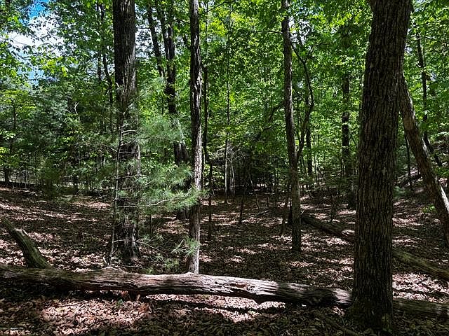 1st image of 43 Edgewood Trl