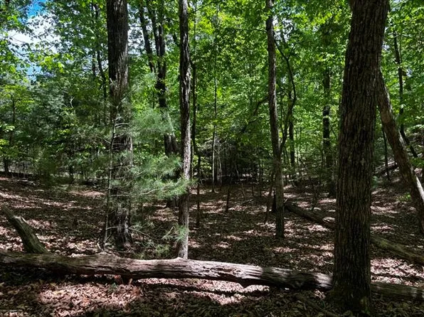 43 Edgewood Trl, Blairsville, GA 30512