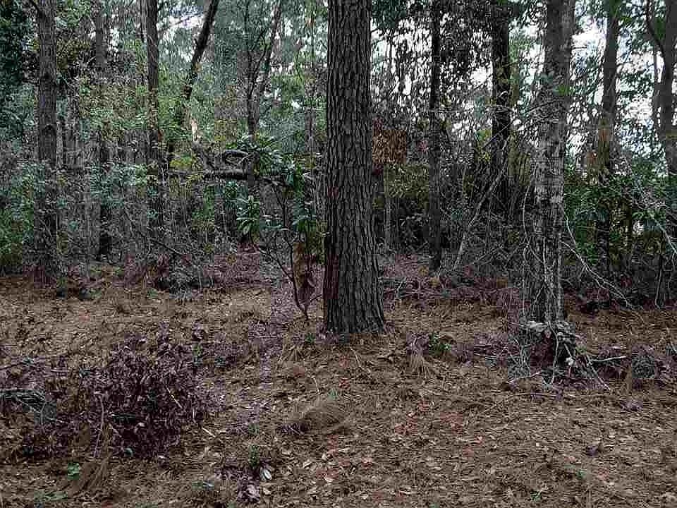 2nd image of 0 County Road 16