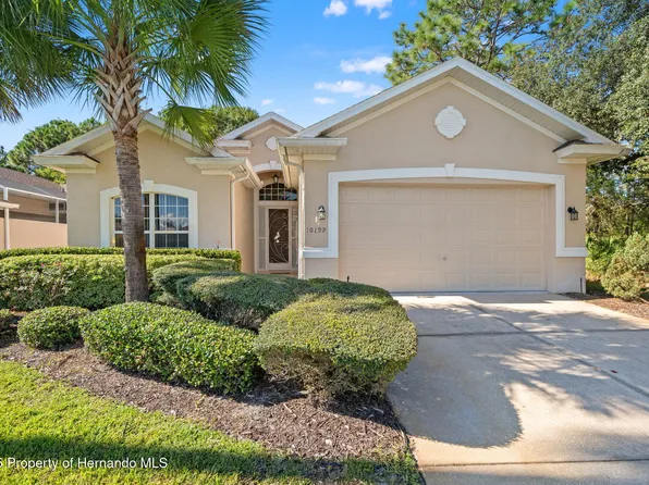 10199 Holly Berry Dr, Weeki Wachee, FL 34613