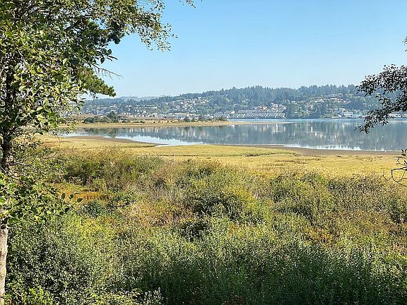 Yaquina Bay view