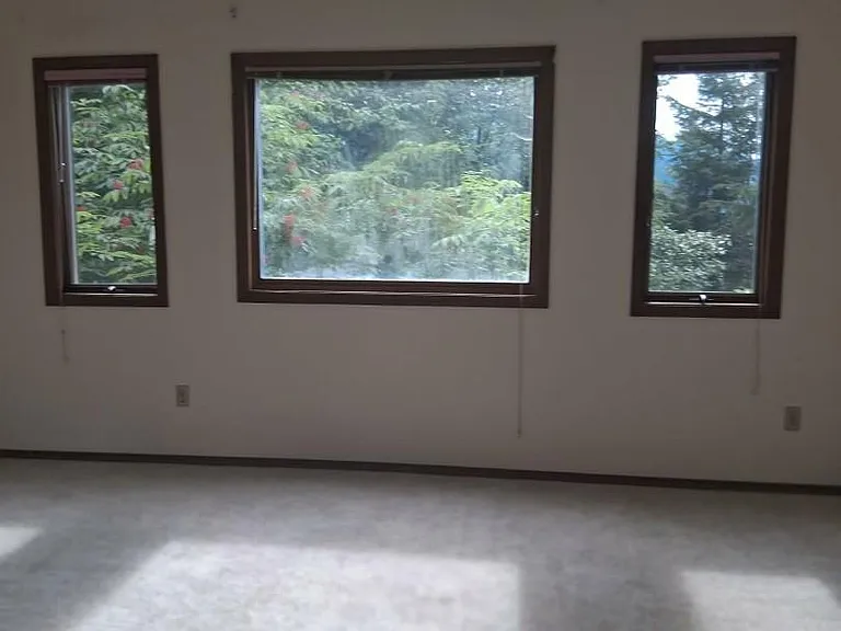 4438 Mountainside Dr — Photo 5