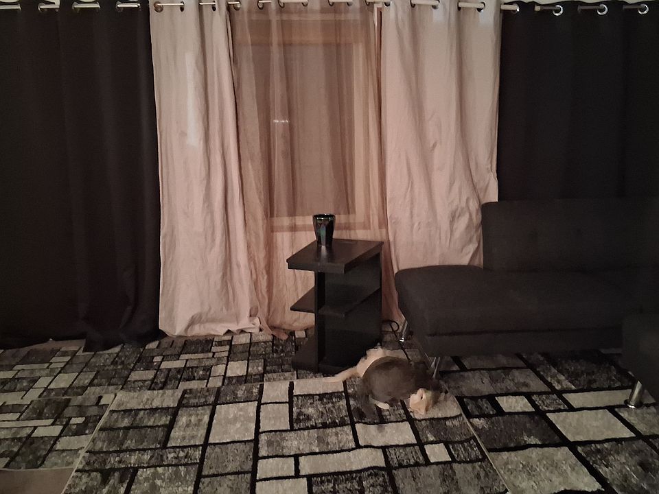 1st image of 188 Torrence Ln