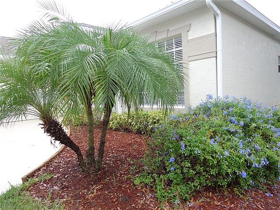 4th image of 2312 Grasmere Cir