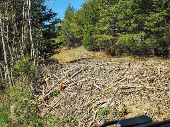 Busler Rd, Bybee, TN 37713