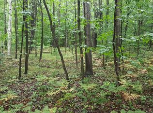 6670 Middleton Rd, Ludington, MI 49431