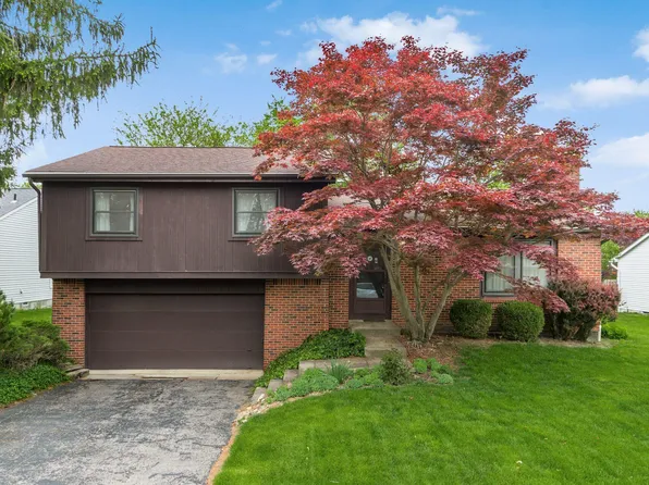 3682 Ravens Glen Dr, Columbus, OH 43221