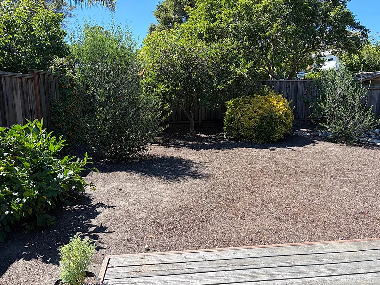 Expansive backyard. A gardeners dream.