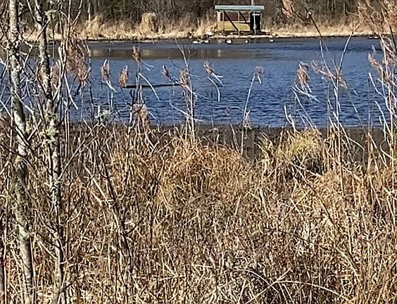 5th image of 0 Herrondale East Rd