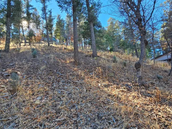 203 Perk Canyon Dr, Ruidoso, NM 88345