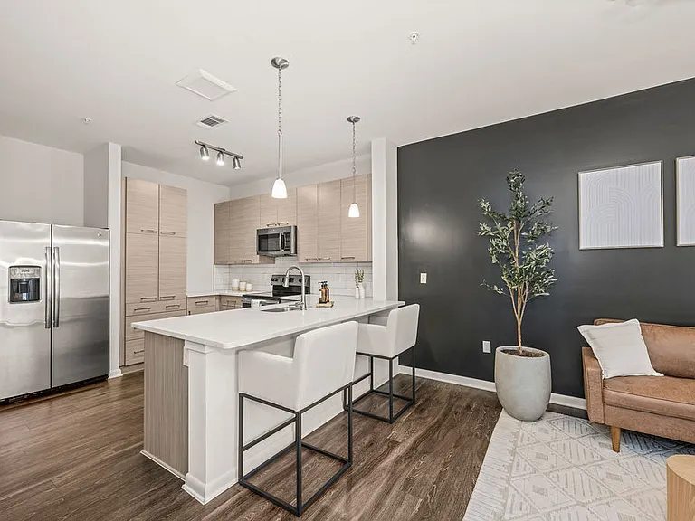Living Room and Kitchen Island