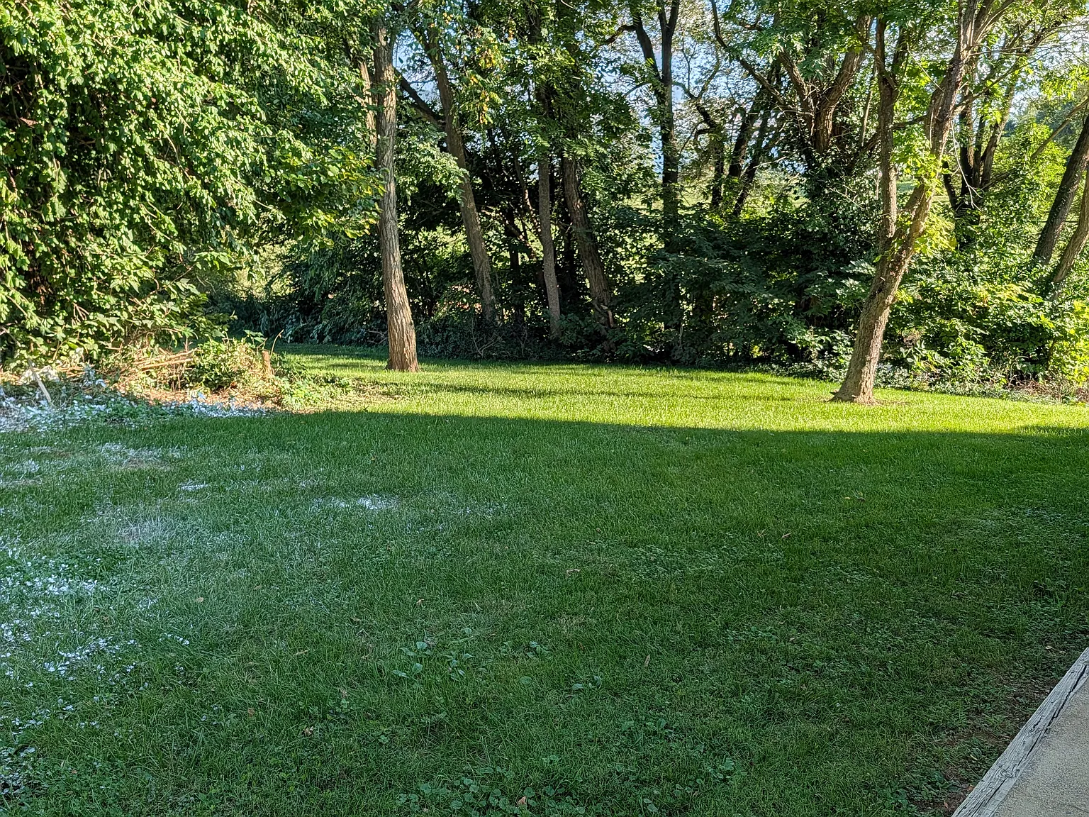 2 bed, 800 sqft, $1,250 — Photo 4